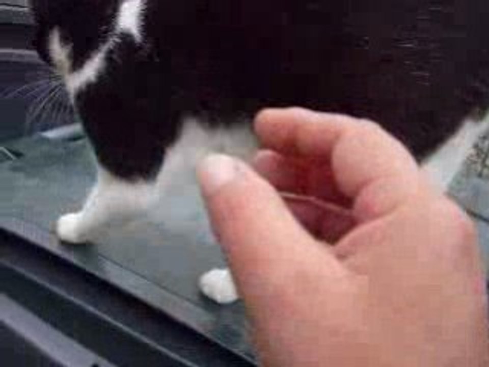 video01