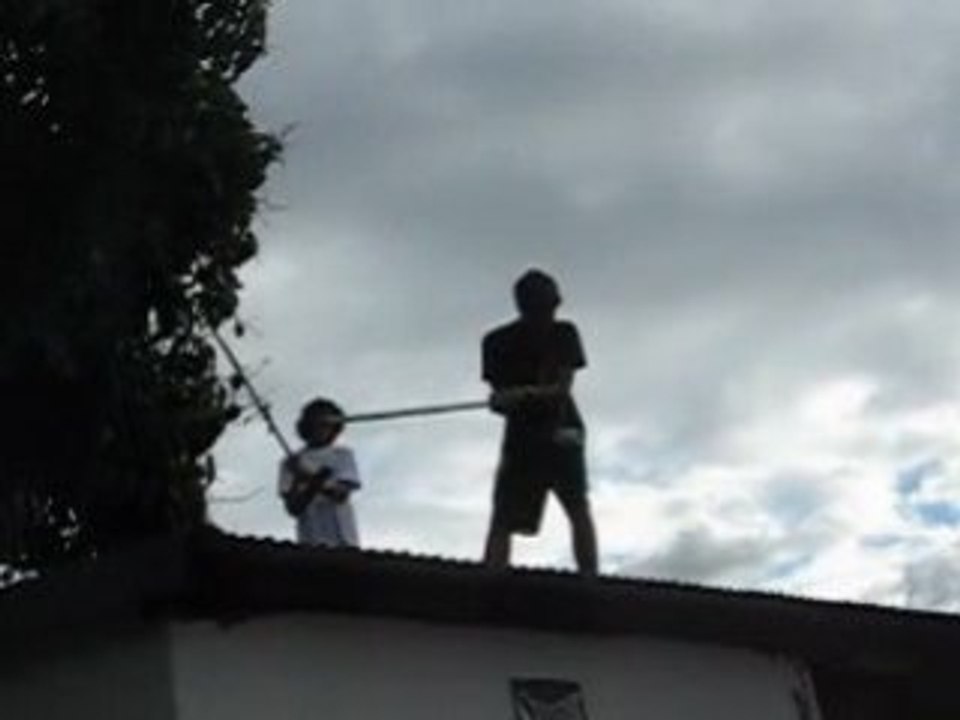 Base ball new style