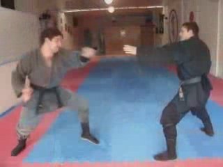 Ninjutsu hosho ryu