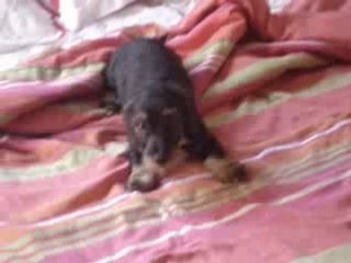 Joca na cama - Ago 2008