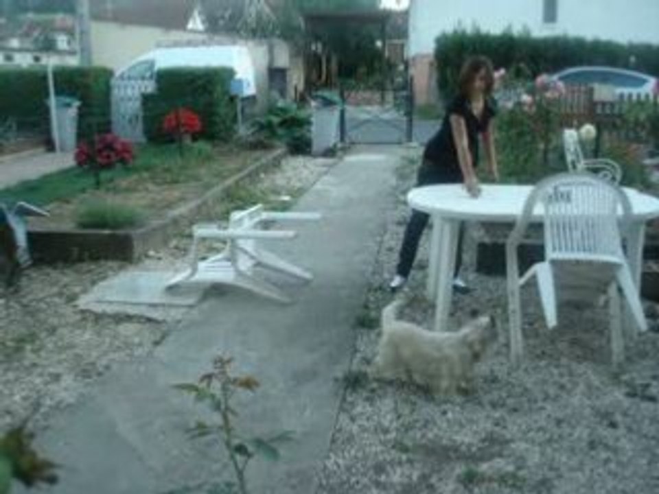 My Dog' Choupettttttttttttttttttttttttttttttttttttttttte XD