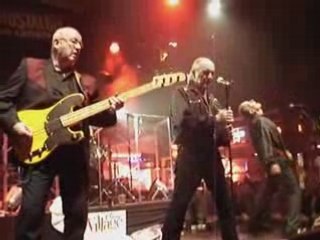 Crazy Cavan à Paris - Sadie