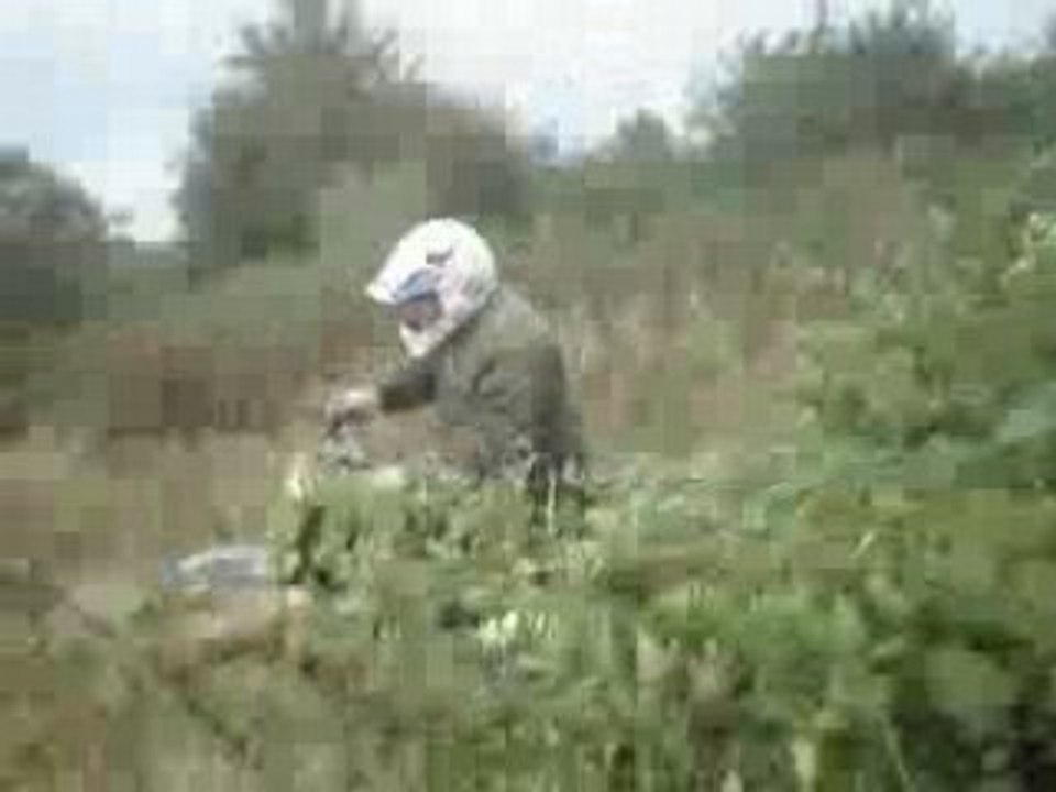 La papa se fait plaisr dans la ligne droite