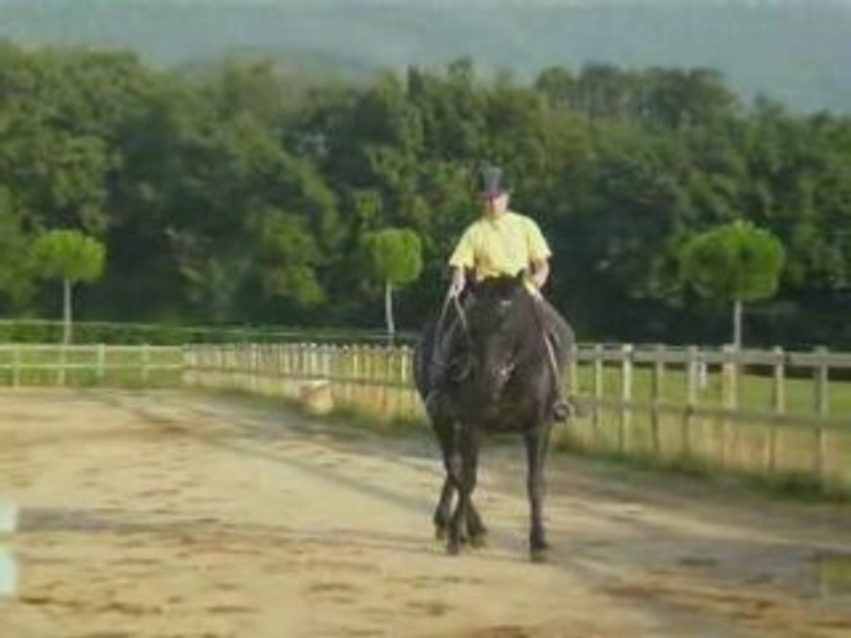 Cession à la jambe (main droite)