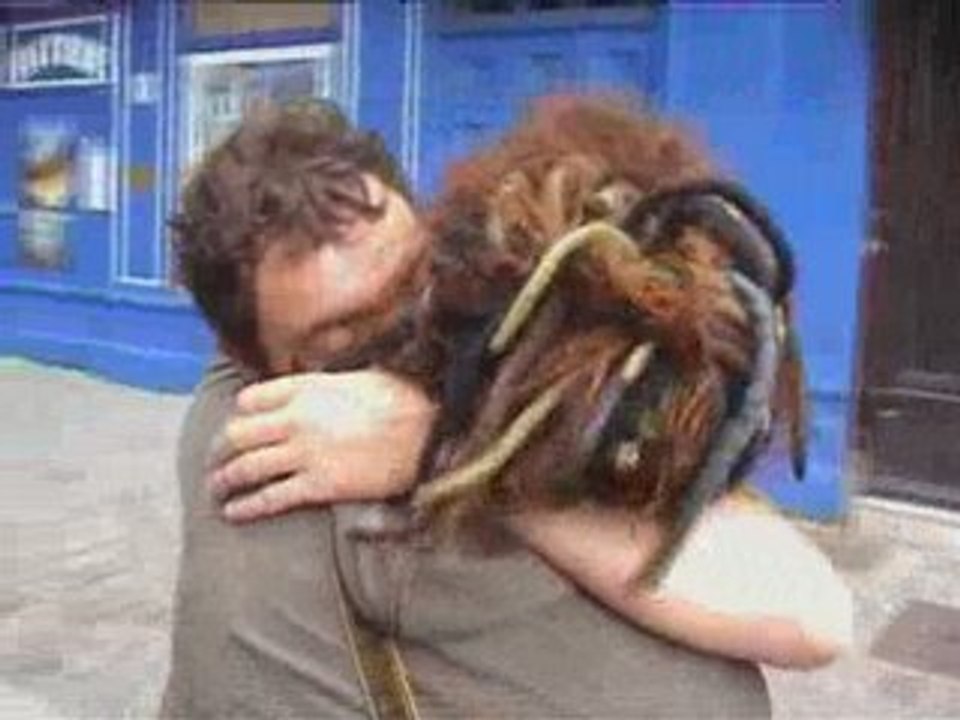 Mickey 3d - "Regarde les amants" (Kuples)