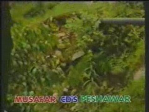 Nazia Iqbal-Pashto Mosiqui-Tang Takor-Afghan Music-Khyal