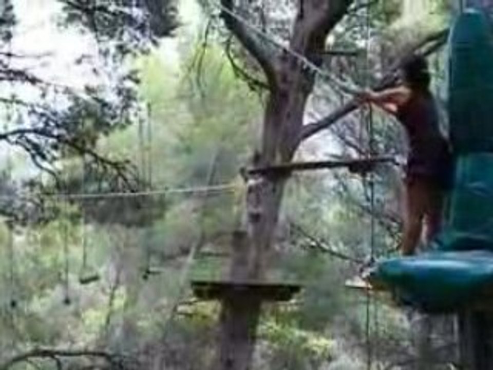 Acro branche