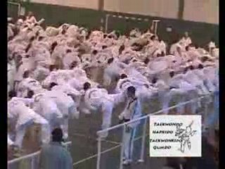 Medley Taekwondo Hapkido