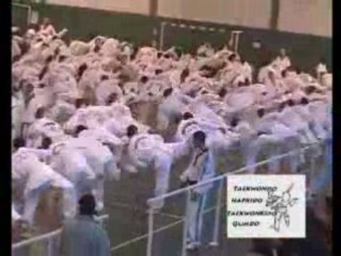 Medley Taekwondo Hapkido