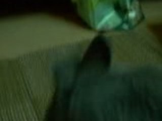 La graine et le Ninou