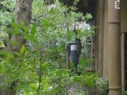 Traditions et saveurs du Japon (PARTIE 3)