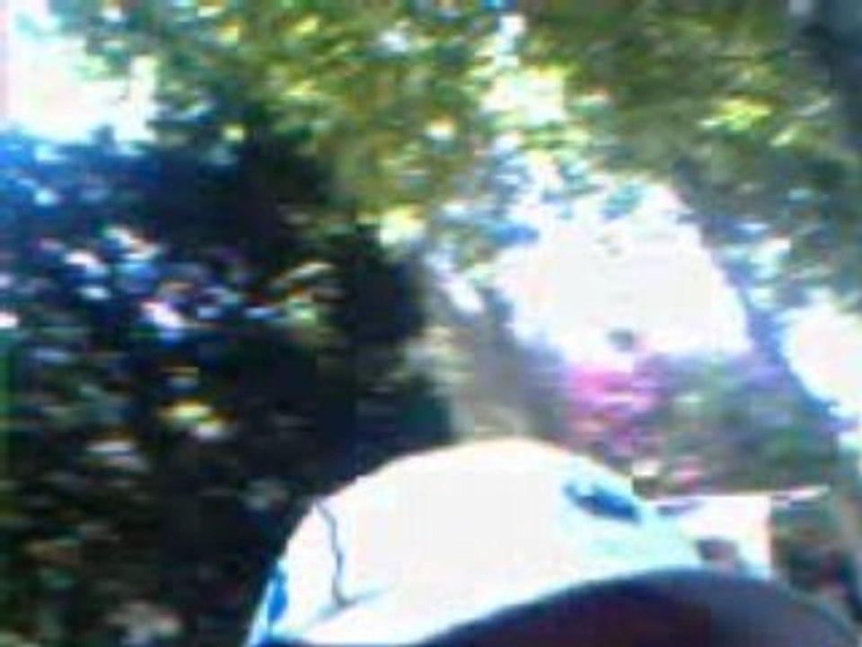 Goulien mode comando