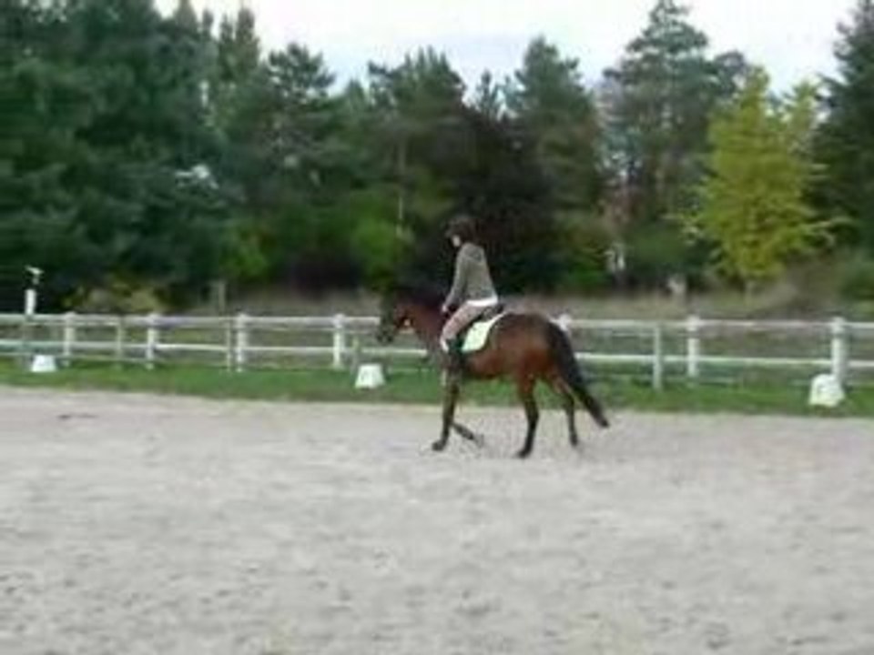 Hudson & Moi