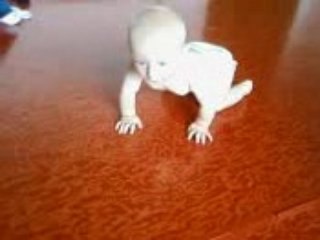Lucas a 4pattes