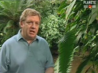 4.L'histoire incroyable de l'Atlantide et des Nazcas04