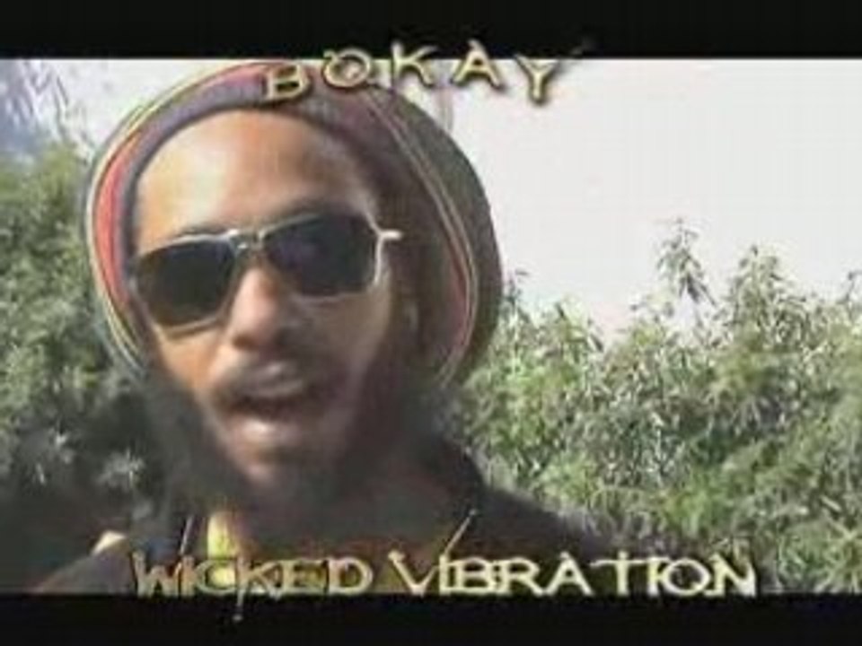 CONCERT "WICKED VIBRATION" SAMEDI 22 NOVEMBRE 2008 LINER