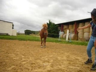 Jeu du yo-yo en liberté