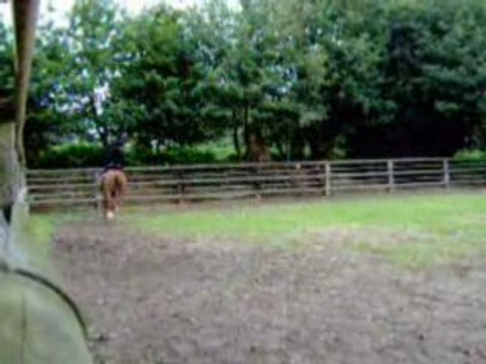 Roméo en vidéo III