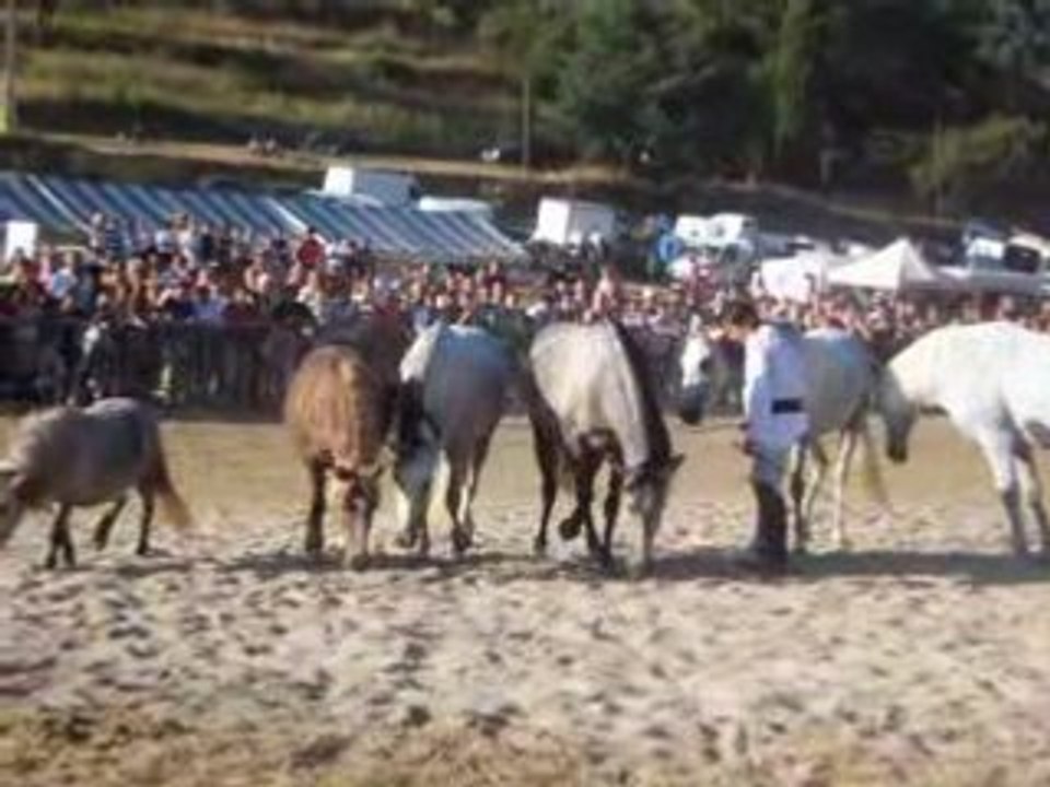 jean françois pignon montferrat 2008