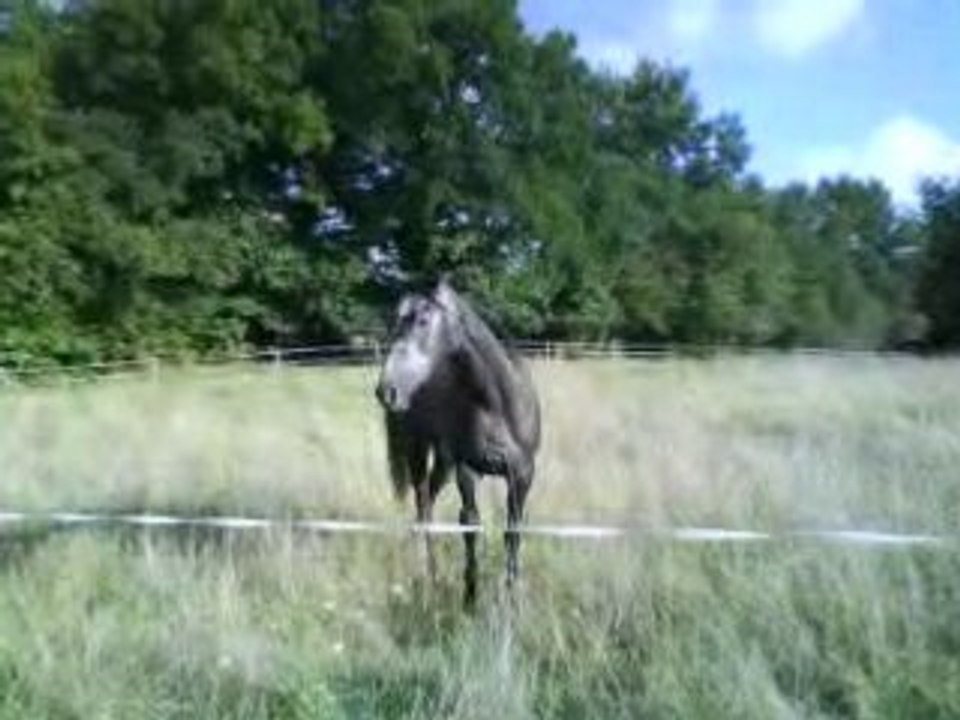 Waite (2)