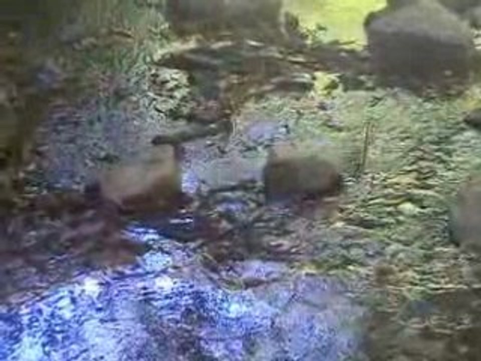 Water 2