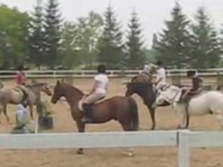 Cours préparatoire pour le concours de la licorne!