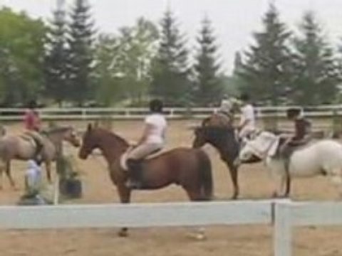 Cours préparatoire pour le concours de la licorne!