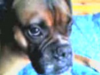 moi sur mon pocket scoot