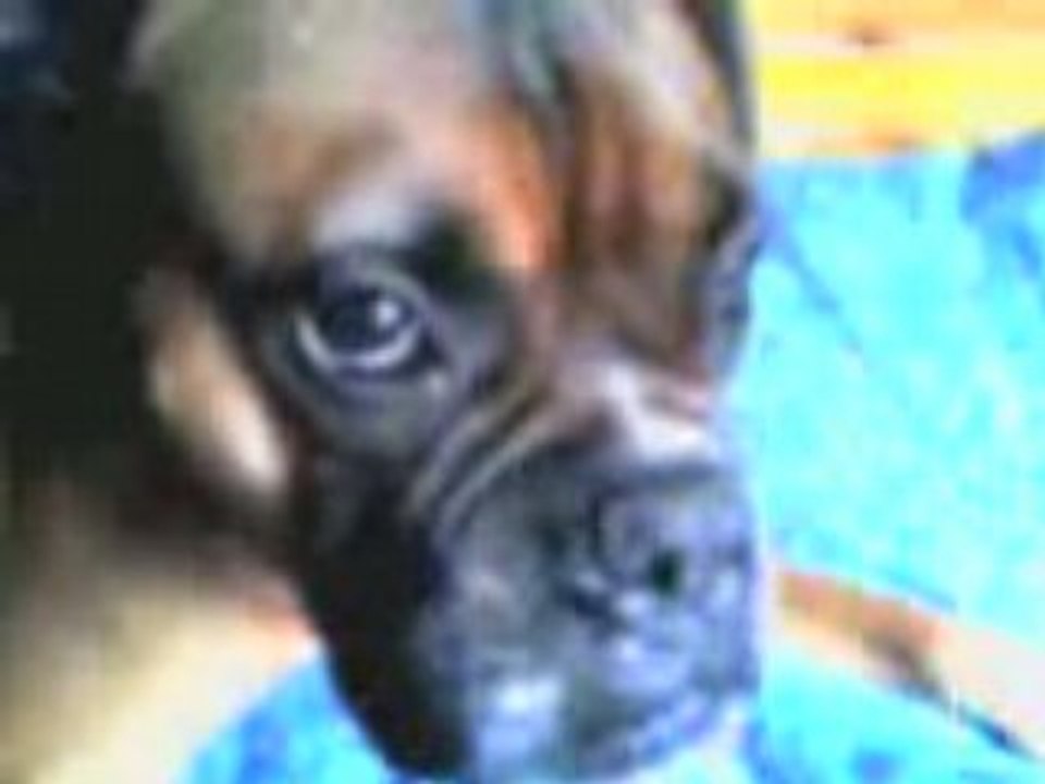 moi sur mon pocket scoot