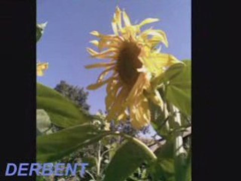 DERBENT KÖYÜ YOZGAT