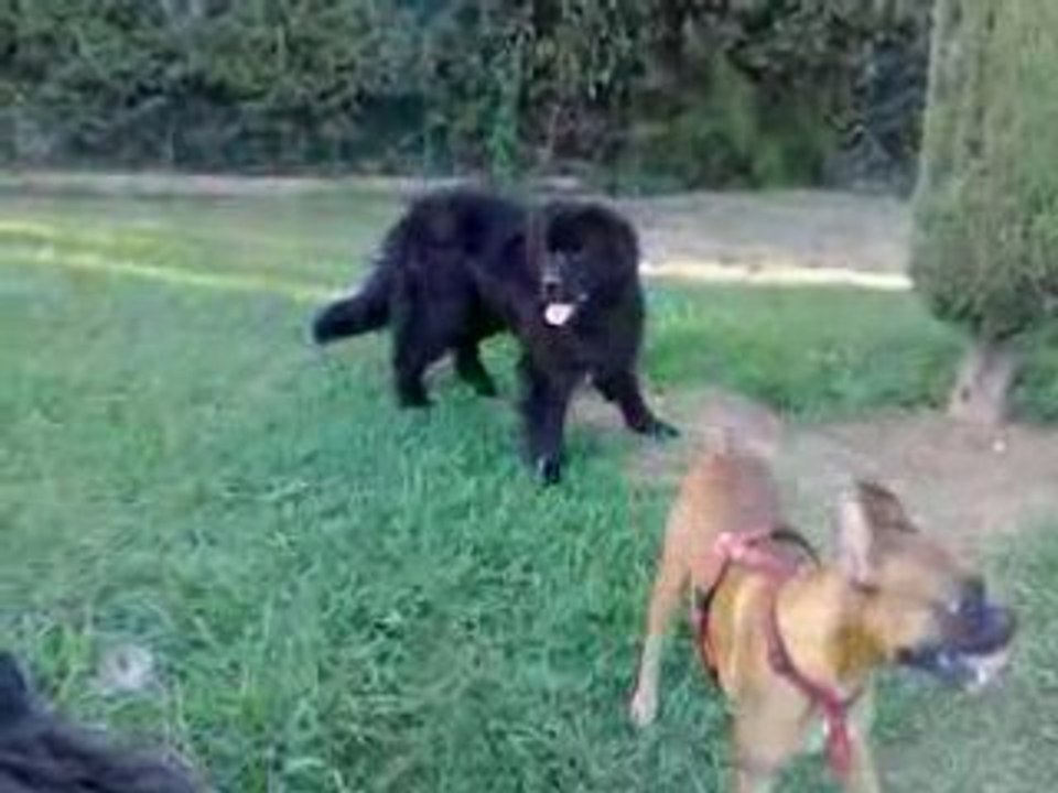 Cliff Athos et Shivas 2