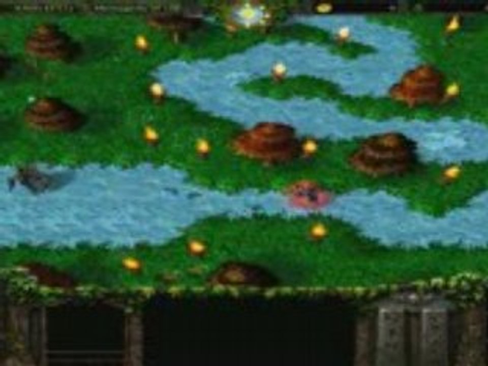 Warcraft 3 Into the wild