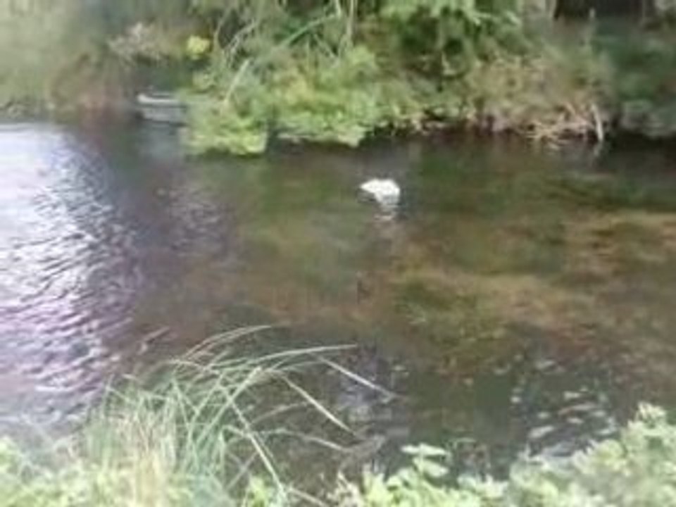 Entrainement Deehane 07-09-08 (2)