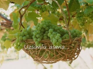 Penceresi Önünde/Volkan Konak-by mnelam.blogcu.com