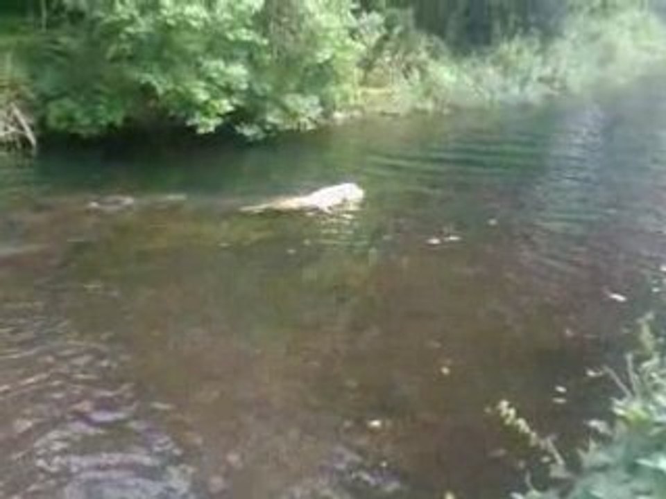 Entrainement Vickie 07-09-08