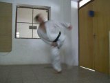 geris karate shotokan argentina