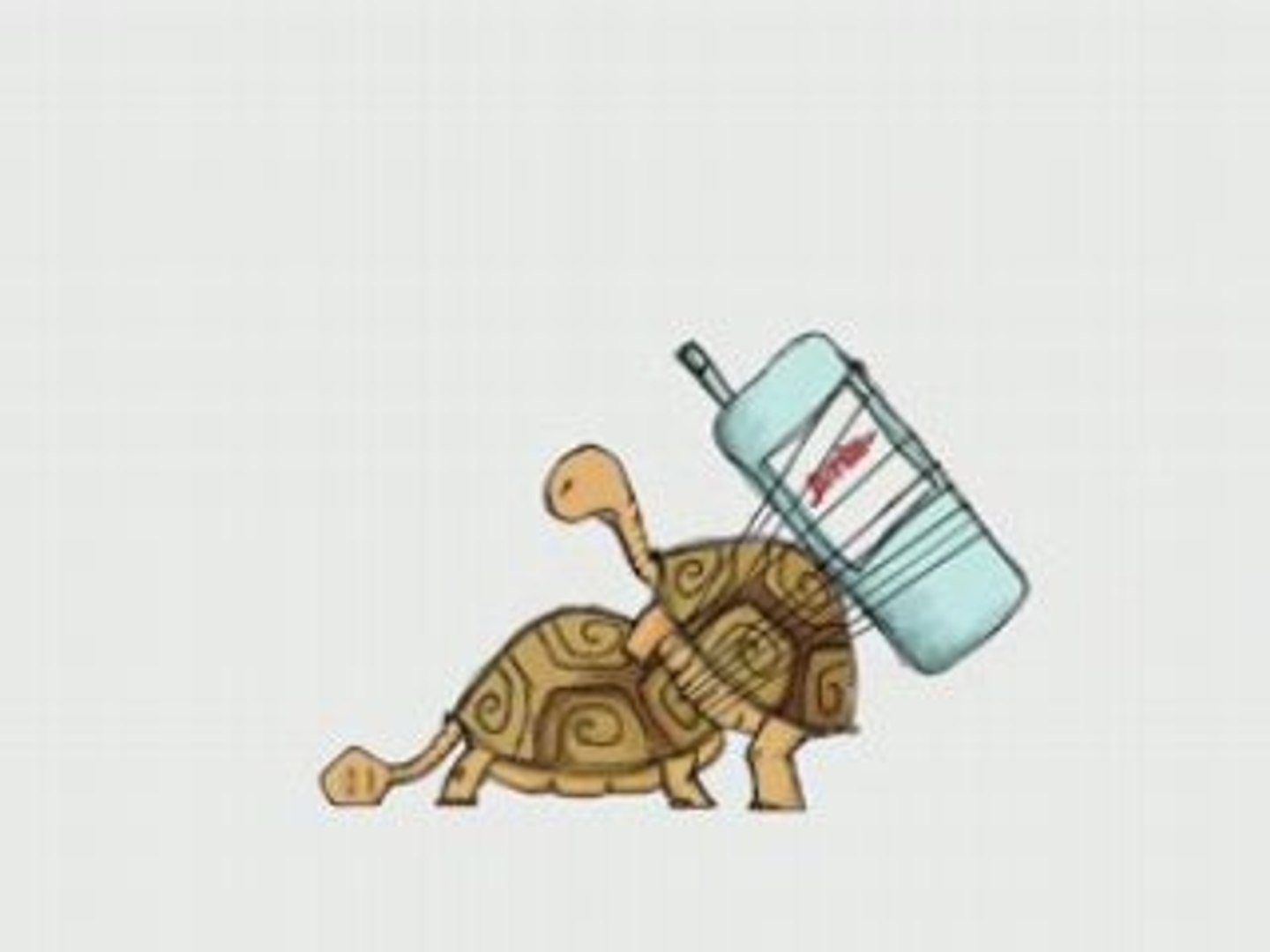 ⁣Turtles in love - funny animation