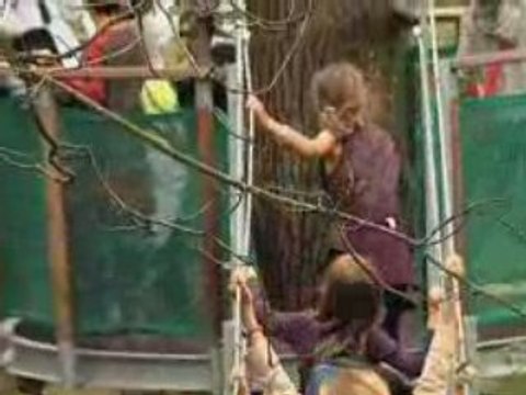 Les sentiers suspendus de l'Odyssée Verte - ONF