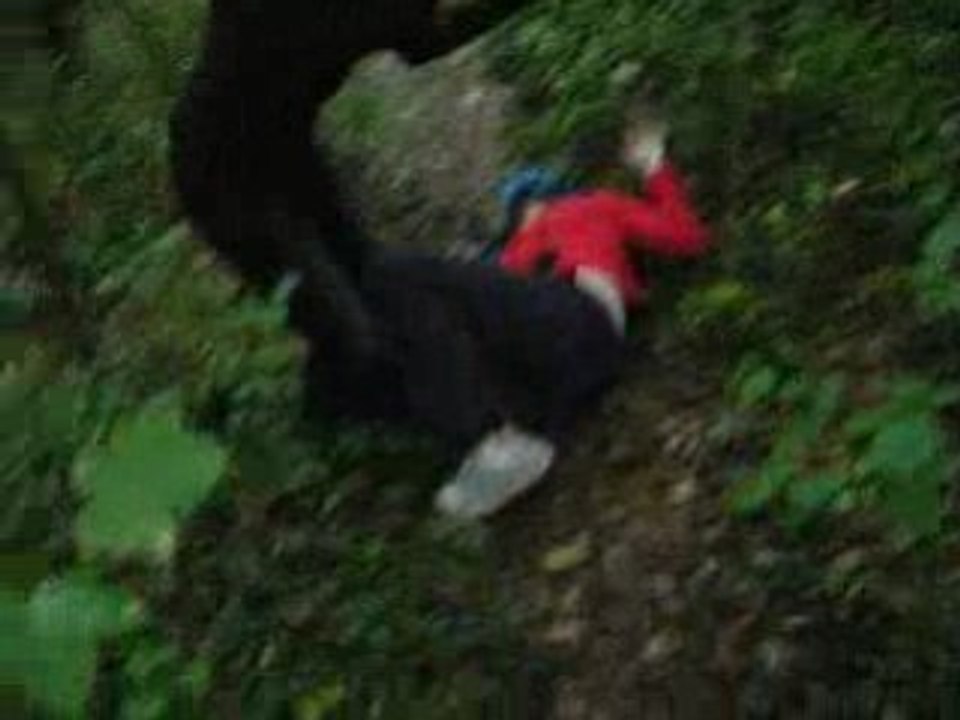 Photo 096