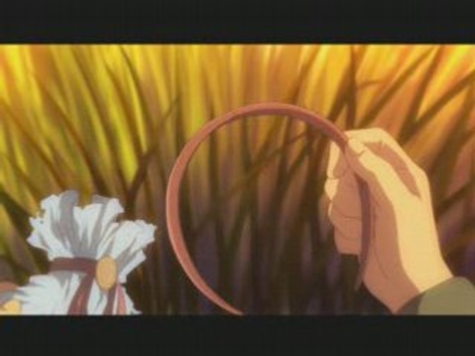 Amv kanon
