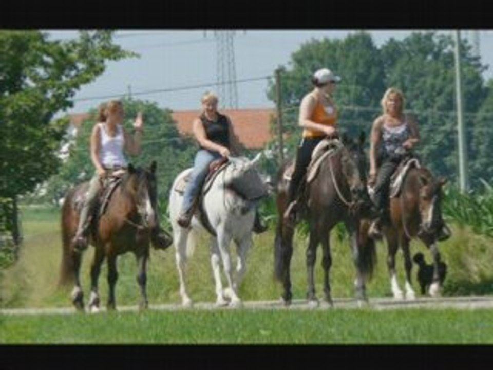 Foto film neu trixie 26.08