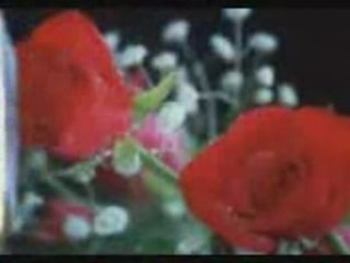 Seni görmeyen gözü neyleyim