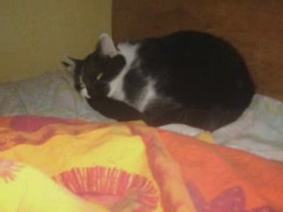 Mickey la grosse dormeuse