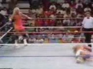 Ultimate Warrior Vs Mr. Perfect-Champion Vs Champion match