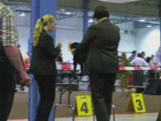 Love - Jeune Champion du Luxembourg