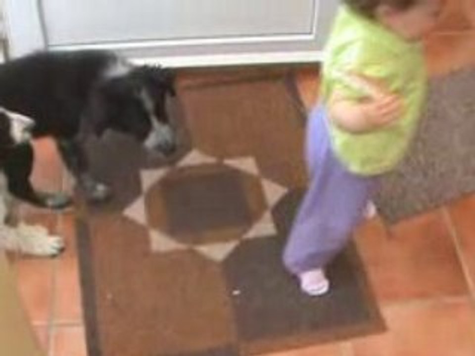 Sophia e os cachorrinhos