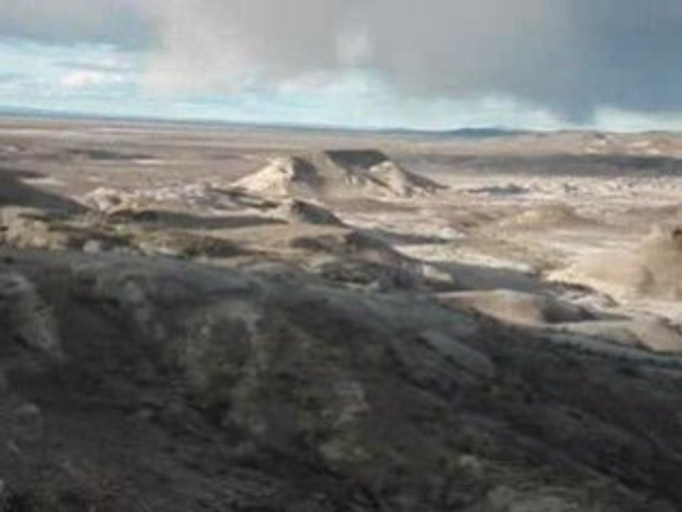 Argentine Bois pétrifié de sarmiento