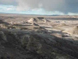 Argentine Bois pétrifié de sarmiento