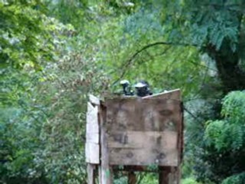 08/09/2008 paintball