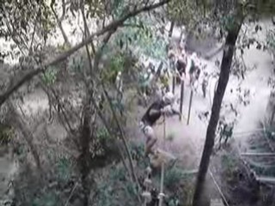 MOV06688